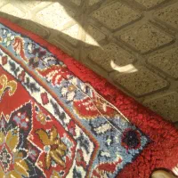 فرش 12 متری|فرش|زنجان, |دیوار