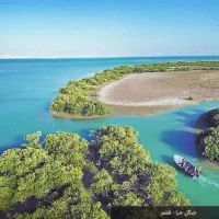 گشت جزیره ، ویژه بانوان|تور و چارتر|قشم, |دیوار