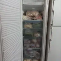 فریزر میتک آمریکایی