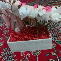 گل نوزادی|گل مصنوعی|قم, زند آباد|دیوار