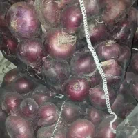 فروش 90کیلوپیاز قرمز درجه یک