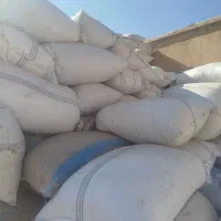 خریدار انواع پسته  پوک با بهترین قیمت