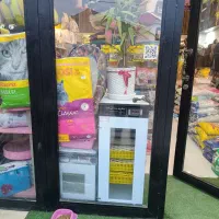نمایندگی دستگاه جوجه کشی هدایت در چالوس