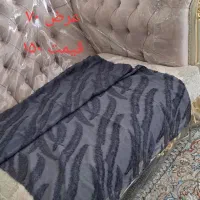 شال و روسری|حراج|مشهد, آزادشهر|دیوار