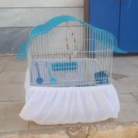 قفس
