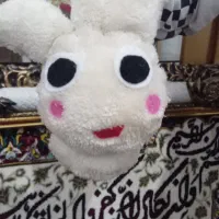 کوش گیر|لباس|پارس‌آباد, |دیوار