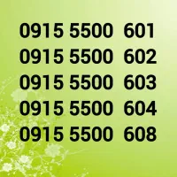 0915-5500-601