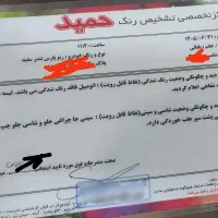 تندر ال نود مدل ۹۲ پارس خودرو بیرنگ دو برگ سند