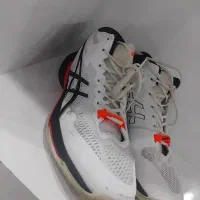 43..44 کفش والیبال|کیف، کفش، کمربند|تربتحیدریه, منظر|دیوار