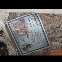 فرش ۱۲ متری نگین مشهد|فرش|کاشمر, |دیوار