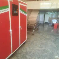 نیروی کار خانم