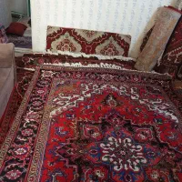 فرش ۶ متری دس باف|فرش|آبش احمد, |دیوار