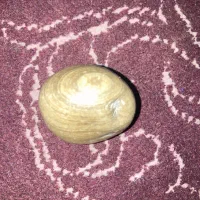 سنگ|کلکسیون اشیاء عتیقه|ایذه, |دیوار