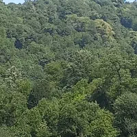 باربری داخل استان گیلان همه جا