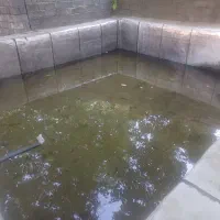 فروش باغ یک هکتار نیم