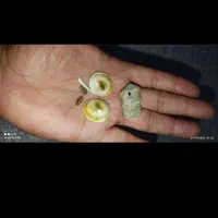 مهره قدیمی|جواهرات|کیار, |دیوار