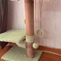 اسکرچر گربه نو