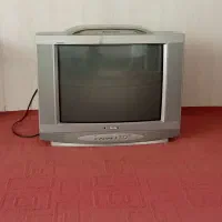 تلویزیون