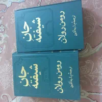 دو جلدی جان شیفته