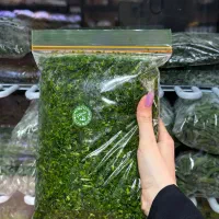 سبزی دلمه خانوم جان / تازه و فریز شده
