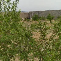 زمین-حاجی-اباد