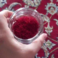 زعفران سرگل