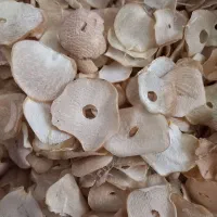 موسیر