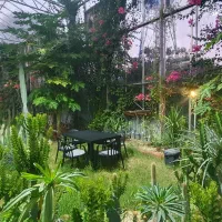 سرایدار و کارگری|استخدام سرایداری و نظافت|کردکوی, |دیوار