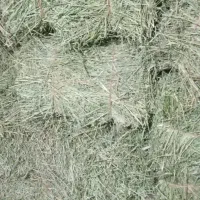 یونجه|حیوانات مزرعه|حمیل, |دیوار