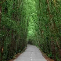 تور گروهی رودسر رامسر تورهای 1روزه و چندروزه|تور و چارتر|اصفهان, ملک|دیوار