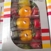 نیروی خانم جهت سورت و بسته بندی فلفل|استخدام صنعتی، فنی، مهندسی|تیران, |دیوار