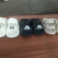 دمپایی فانتزی|کیف، کفش، کمربند|سنندج, |دیوار