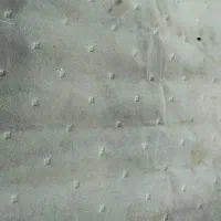 دوقالی9متری یه موکت 12متری قیمت 35000000