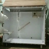 قفس پرنده دستساز زیبا|لوازم جانبی حیوانات|شیراز, ده پیاله|دیوار