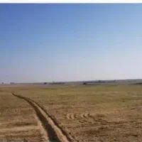 اجاره ۴۸ هکتار زمین کشاورزی شعیبیه شوشتر|اجارهٔ دفتر صنعتی، کشاورزی، تجاری|دزفول, |دیوار