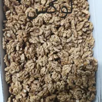 پخش مغز گردو ... به صورت عمده