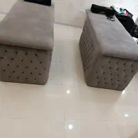 دو عدد تخت مژه یا تخت فیشال چستر