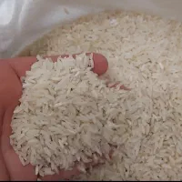 برنج هاشمی تنظیم بازار فقط ۲۲۷ ت