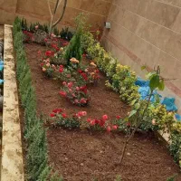 باغبانی و سمپاشی درهمه نقاط تهران بازدید رایگان