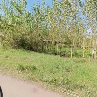 زمین-مسکونی