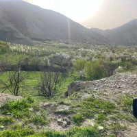 فروش باغ در شهر بار (زاو)