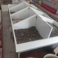 تخت فروشگاهی مناسب حبوبات و تخمه و شکلات و آجیل