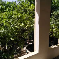 اجاره-ویلت-وباغ