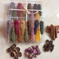 قند نبات گیاهی