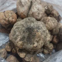 کوهی دونبلان