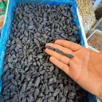 مویز بی هسته درشت و لوکس