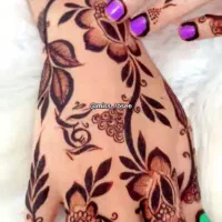 حنا عربی و ار مدل باشد|خدمات آرایشگری و زیبایی|سراوان, |دیوار