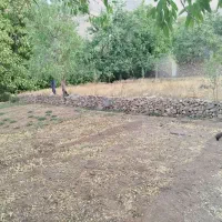 فروش فوری زمین|فروش خانه و ویلا|خضر آباد, |دیوار