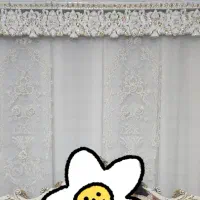 پرده قاب بندی جدید|پرده، رانر، رومیزی|بیجار, |دیوار