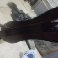 اسکوتر قوی|دوچرخه، اسکیت، اسکوتر|خرمآباد, |دیوار